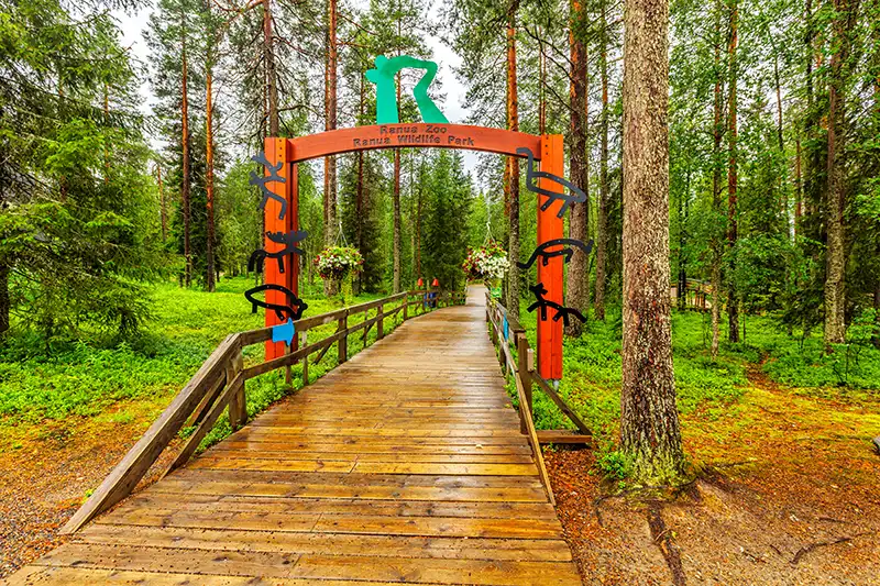 What to do near Rovaniemi What to do near Rovaniemi