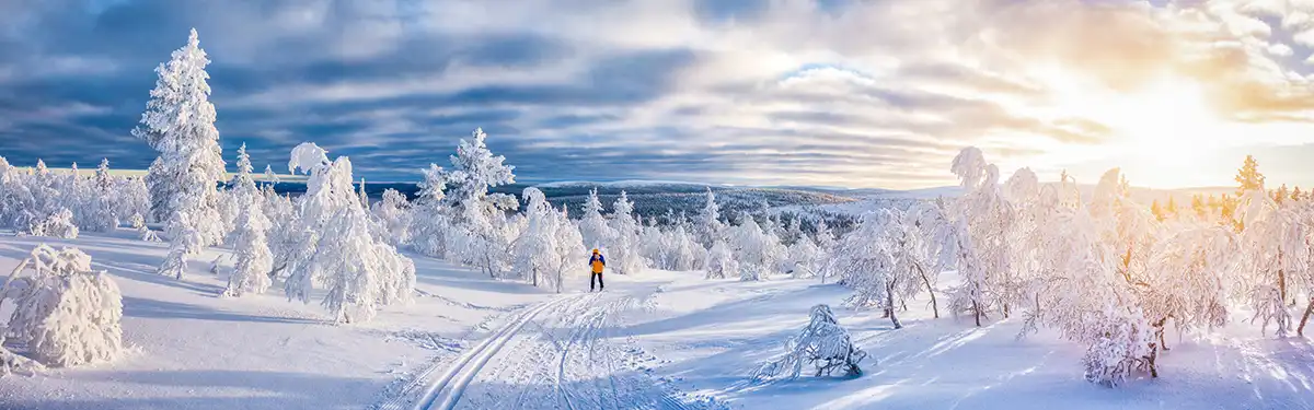 Day trips from Rovaniemi Day trips from Rovaniemi